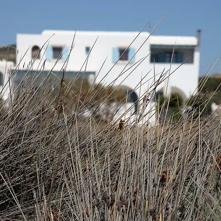 Seafront Glyfada 4 Naxos City